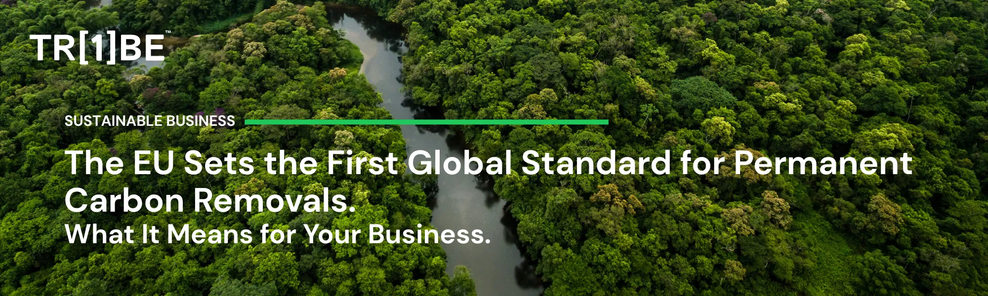 The EU Sets the First Global Standard for Permanent Carbon Removals. What It Means for Your Business.