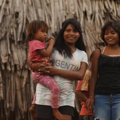 Parana Rainforest Restoration