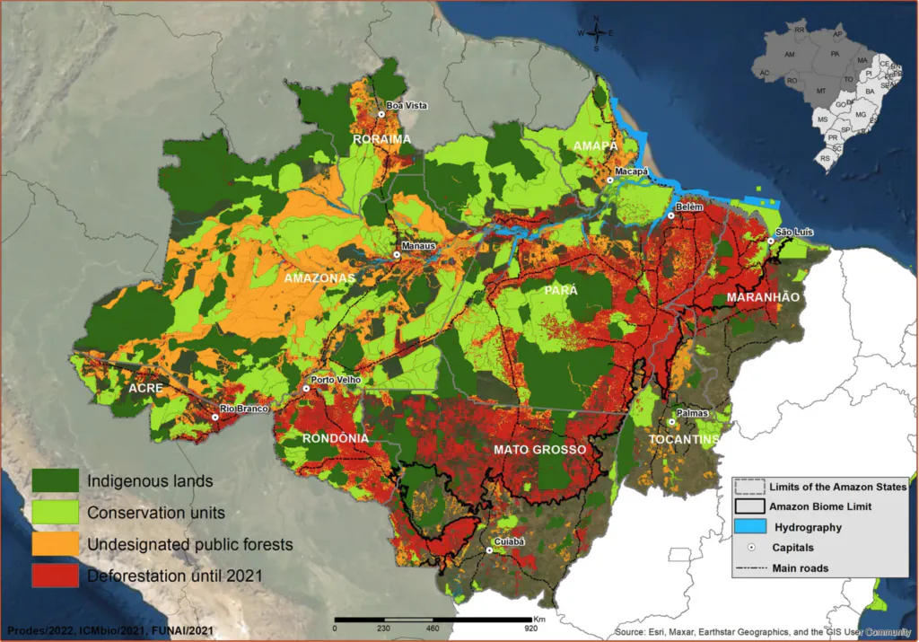 Save the Brazilian Amazon