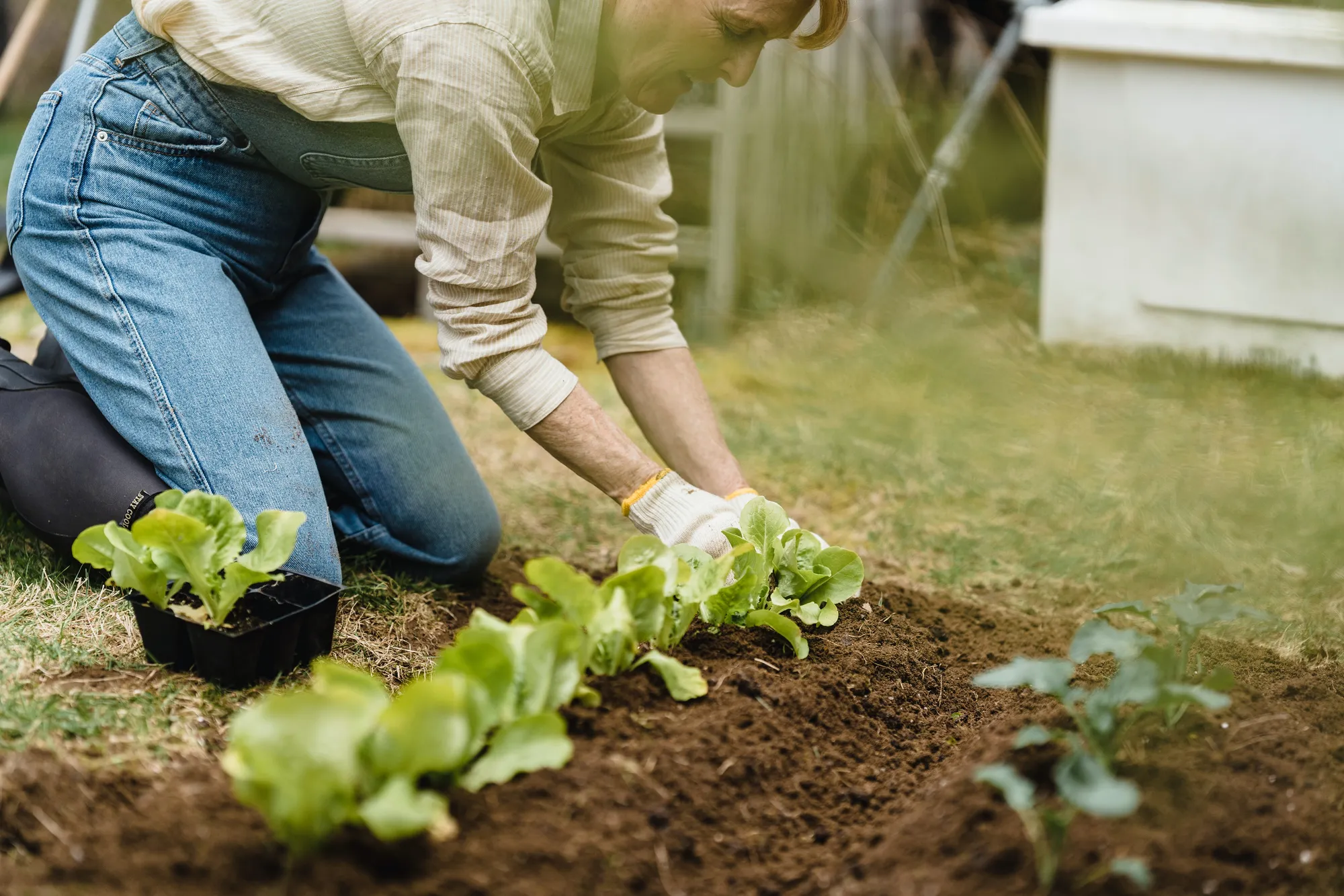10 Ways To Be Sustainable In Everyday Life