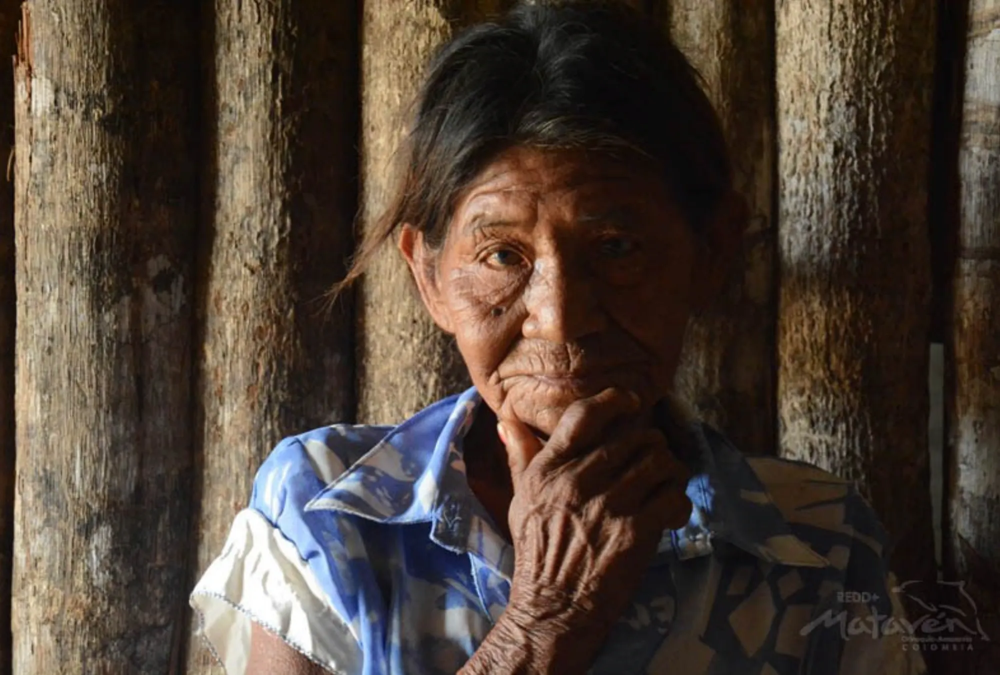 Mataven Jungle Indigenous Guardianship Project