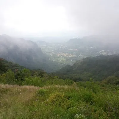 Protect Mexico’s Monarch Corridor in the Sierra Madre Oriental mountains