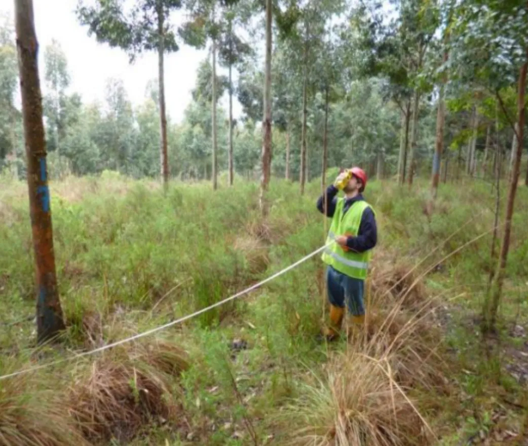 Reforestation of Degraded Grasslands in Uruguay