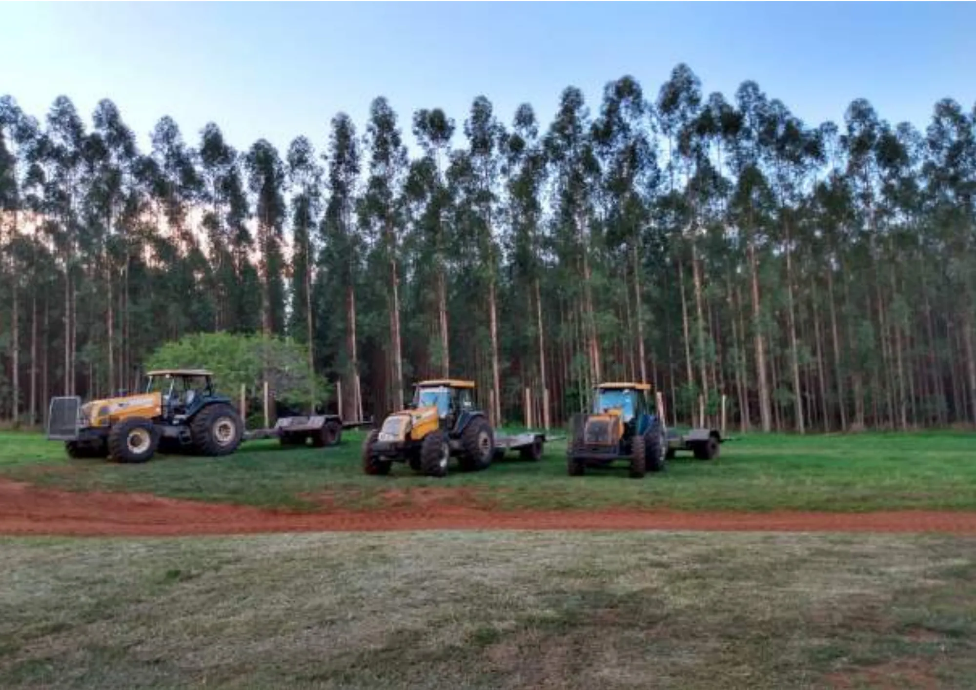 Savannah Regeneration and Recovery Agroforestry Project