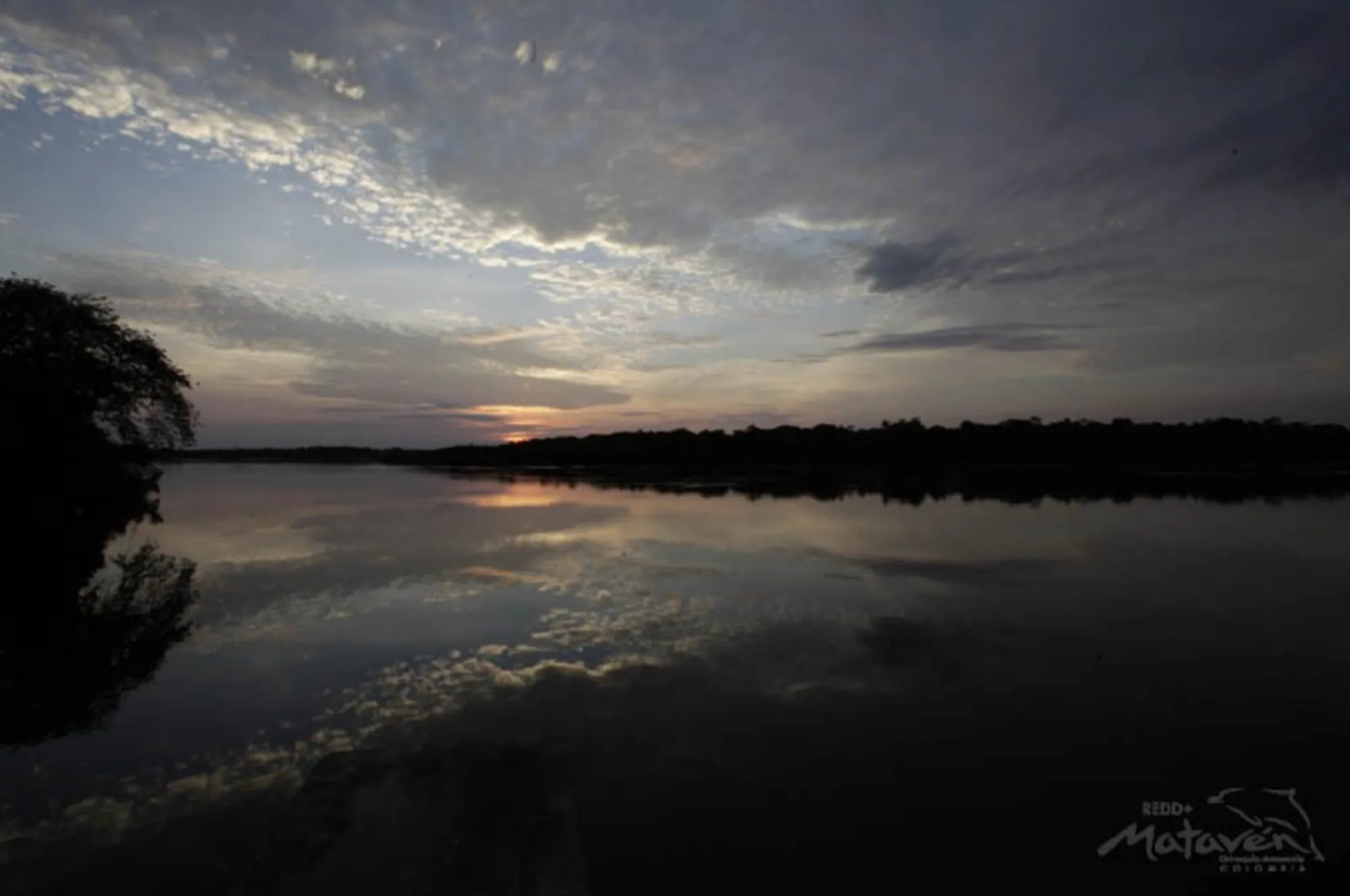 Mataven Jungle Indigenous Guardianship Project