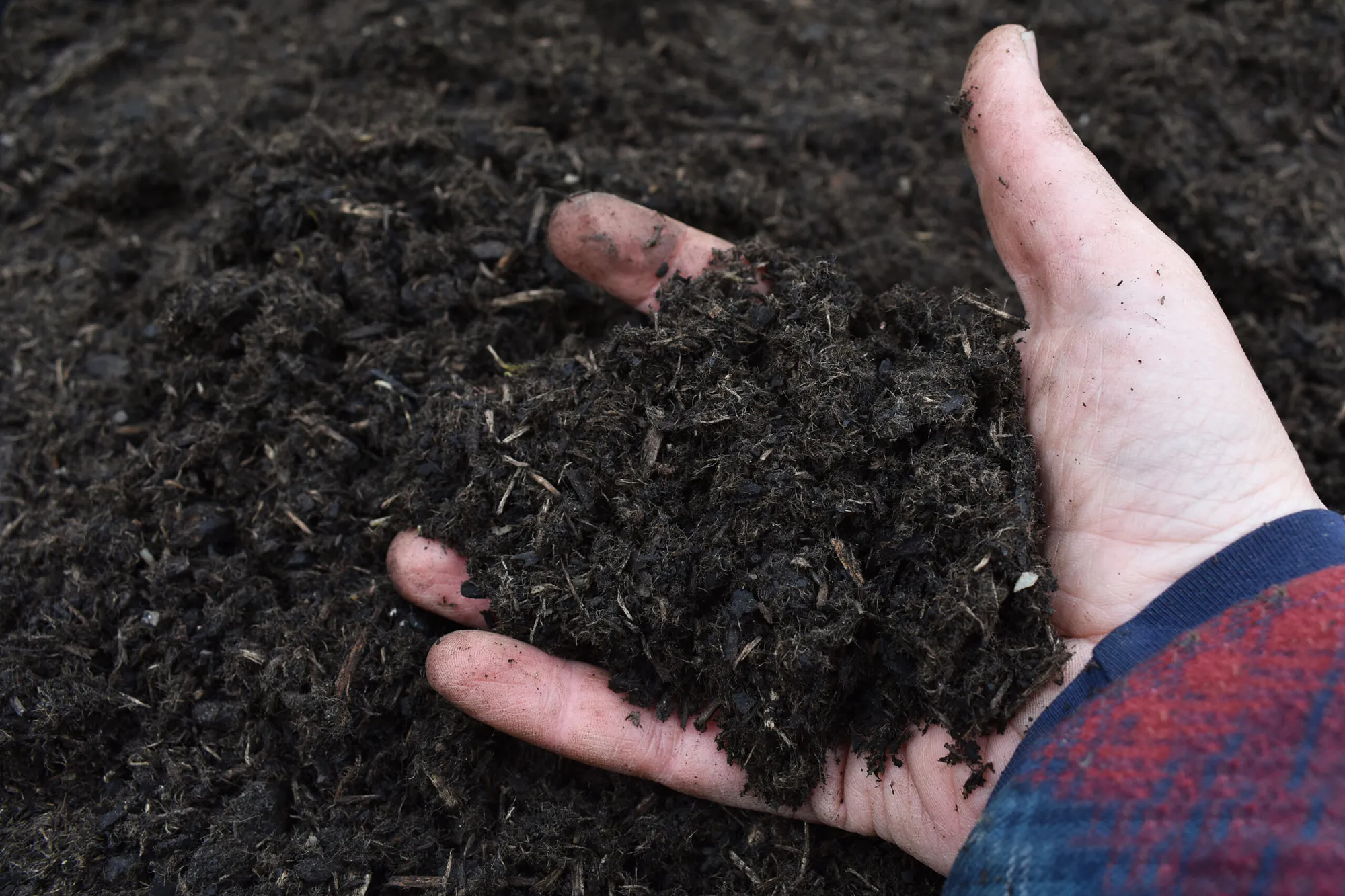 Freres Engineered Wood Biochar