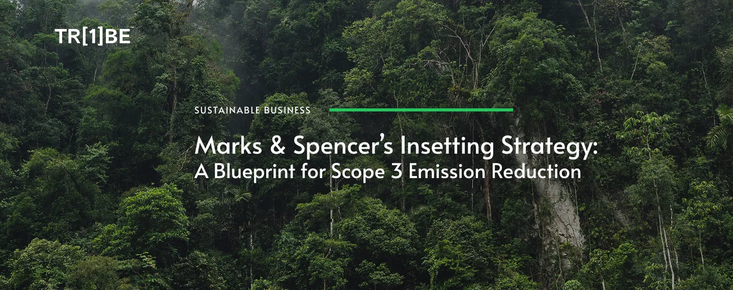 Marks & Spencer’s Insetting Strategy: A Blueprint for Scope 3 Emission Reduction