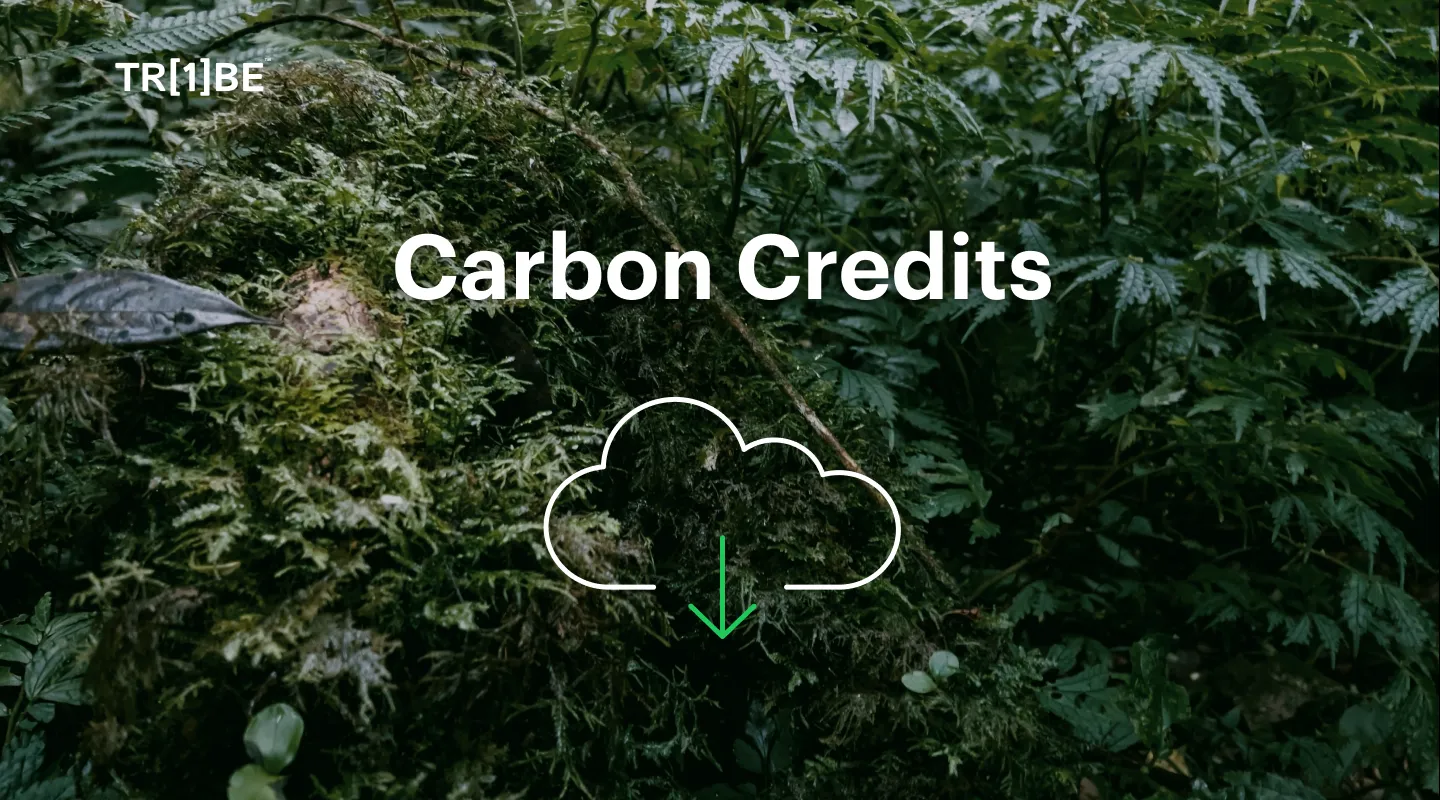 The Difficulty Businesses are Facing in the Race to Net Zero