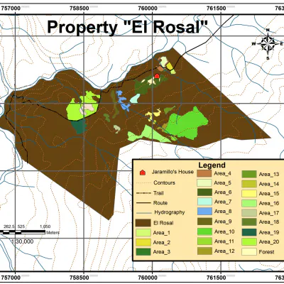 Reforestation of Degraded Lands in Valle California, Patagonia, Chile