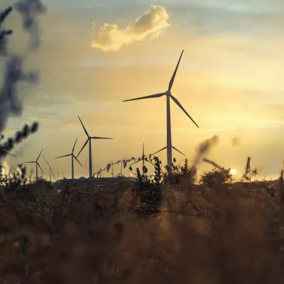 49.5 MW Wind Power Project