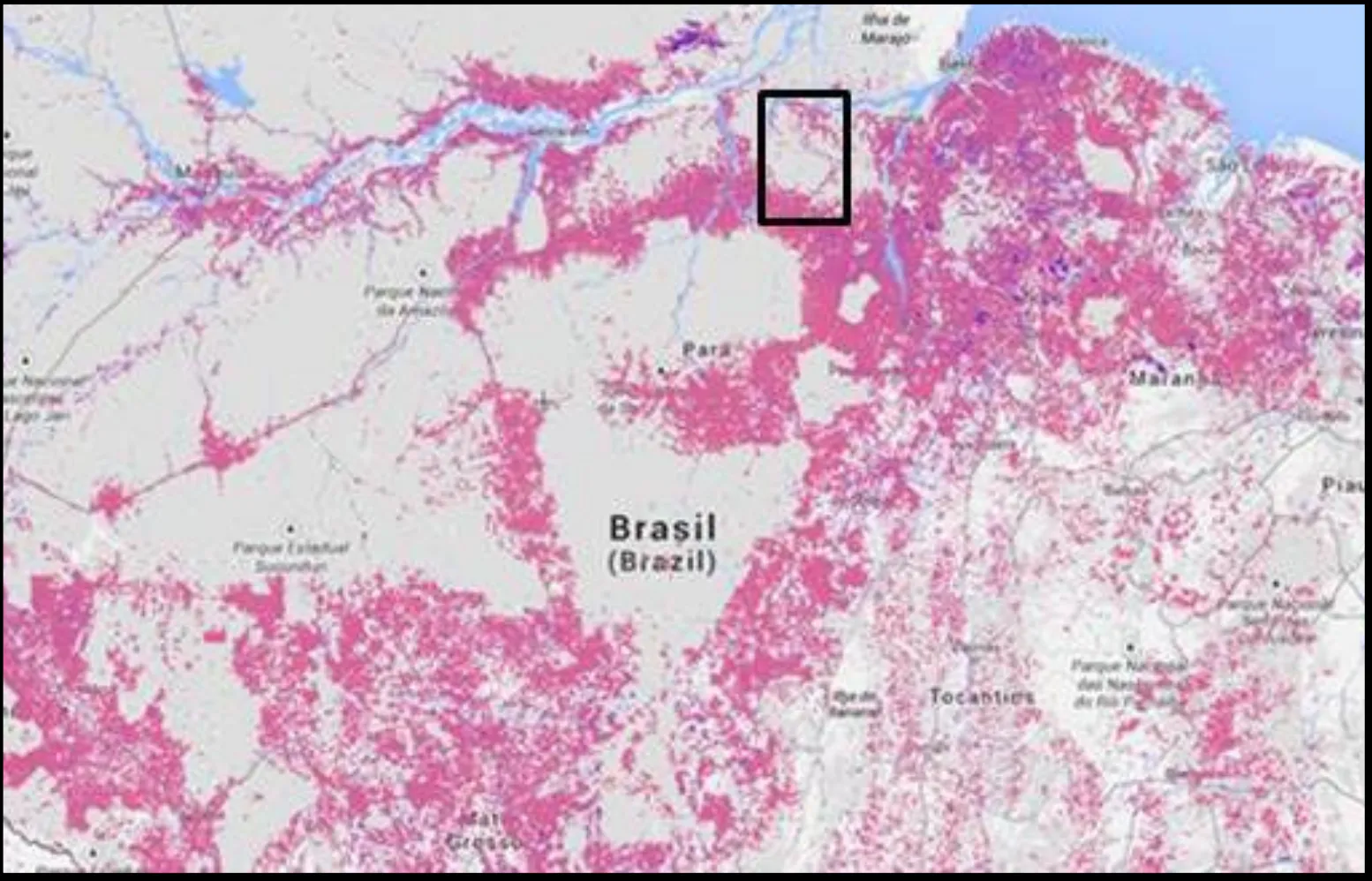 Rio Anapu-Pacaja REDD+ Project