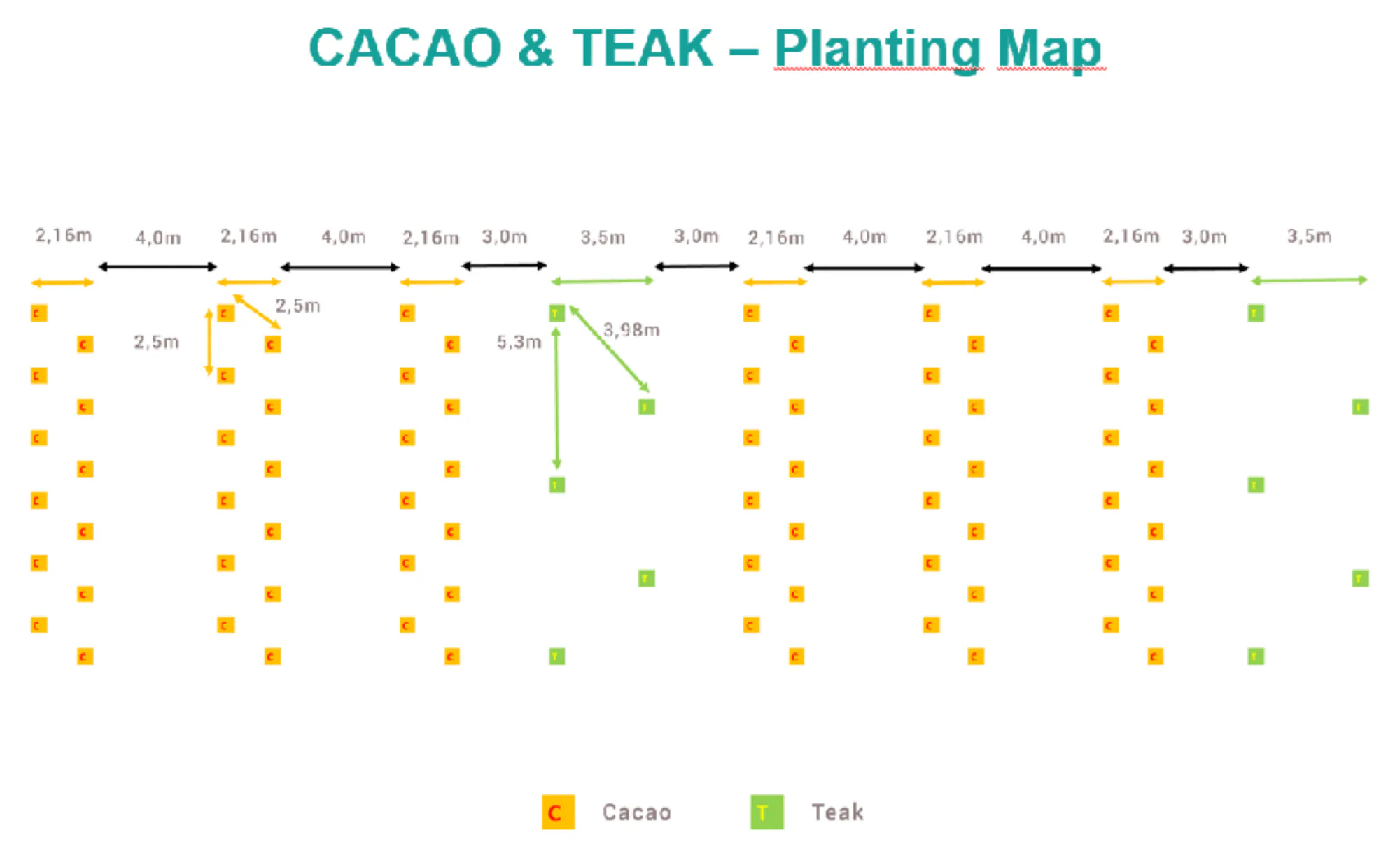 Reforestation and Agroforestry on Degraded Lands