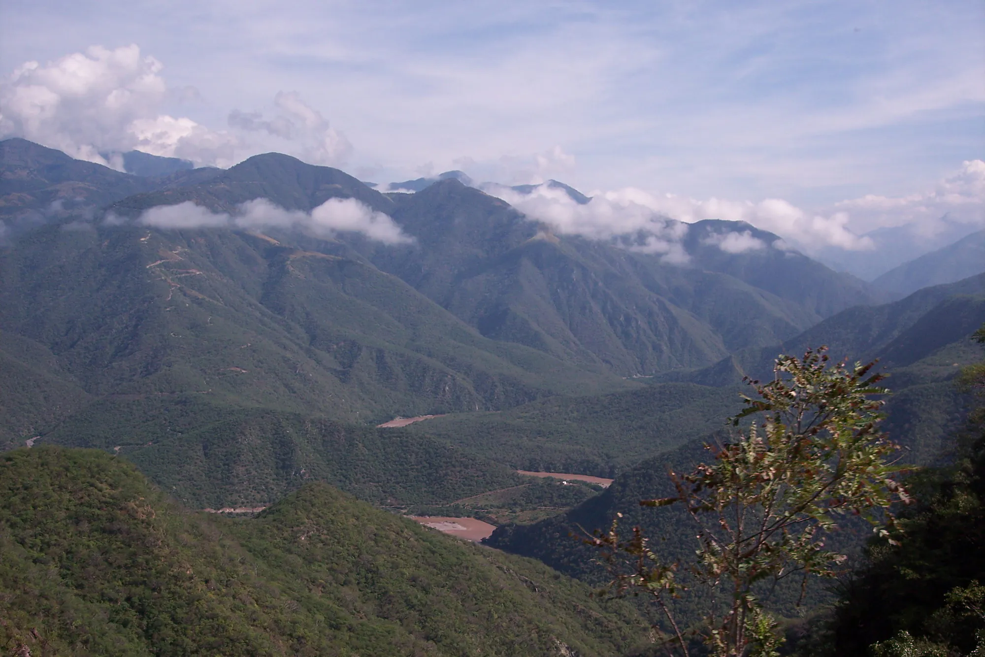 Protect Mexico’s Monarch Corridor in the Sierra Madre Oriental mountains