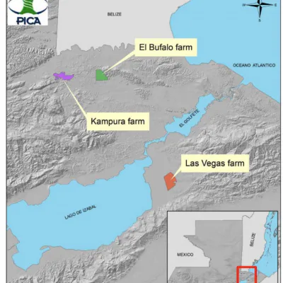 Rubber Forest Reforestation in Guatemala