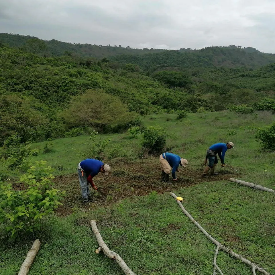 Expanding the Los Tities de San Juan Reserve