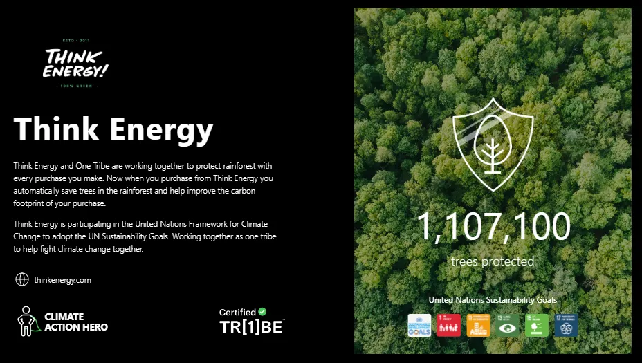 Redefining Renewables with Think Energy CEO Michael Fallquist