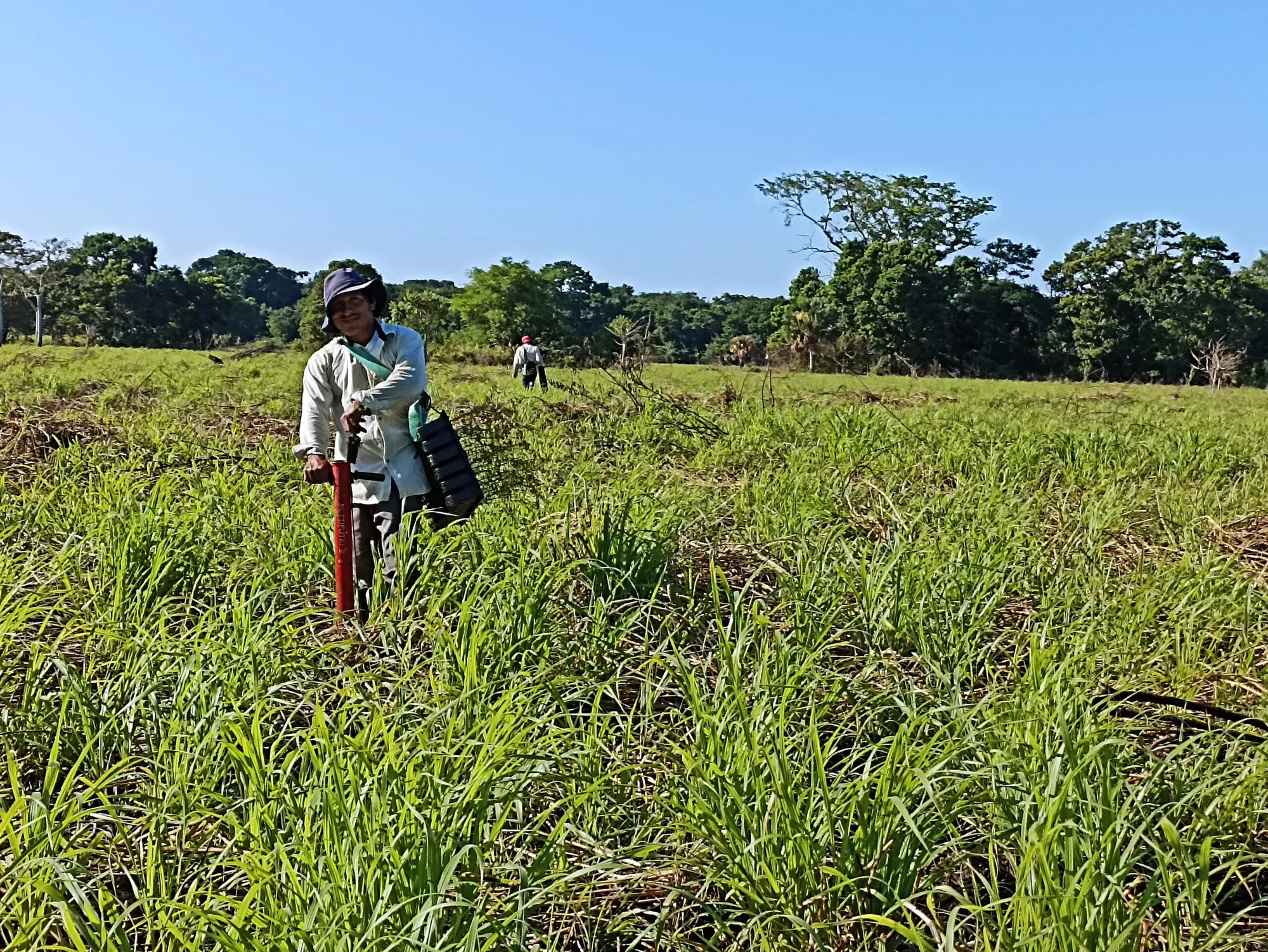 Restoring the Jaguar’s Realm: A Reforestation Initiative in Southeast Mexico