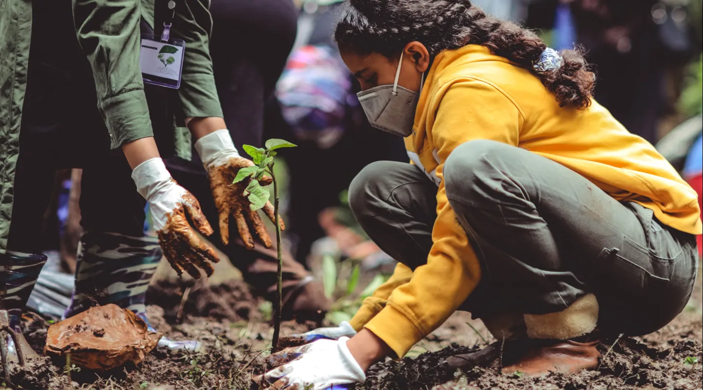 What Does It Mean To Be Carbon Negative?