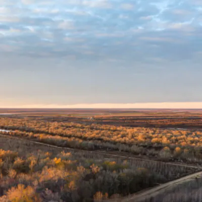 GreenTrees ACRE – Advanced Carbon Restored Ecosystem Project