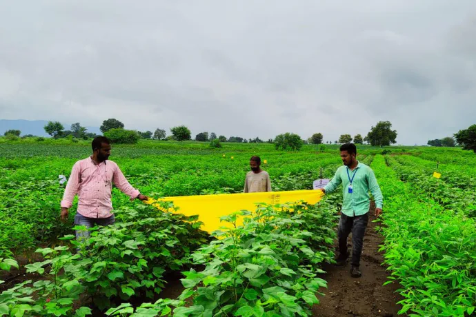 Cultivating Resilience: Regenerative Farming Across Indian Heartlands