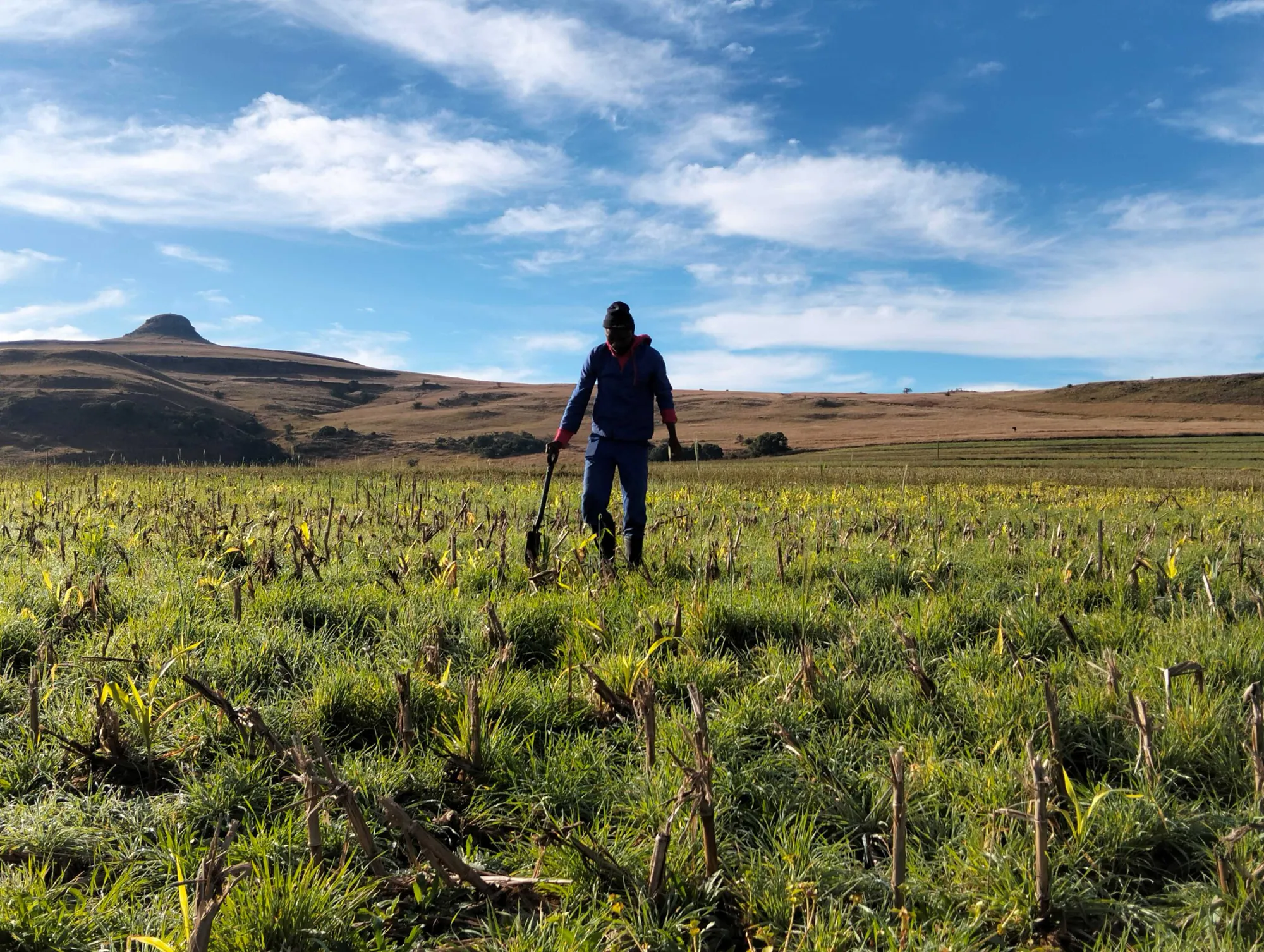 Orizon CarbonCrop Rewards Programme, South Africa