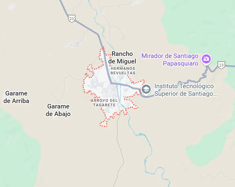 Ejido El Alamito Reforestation Project