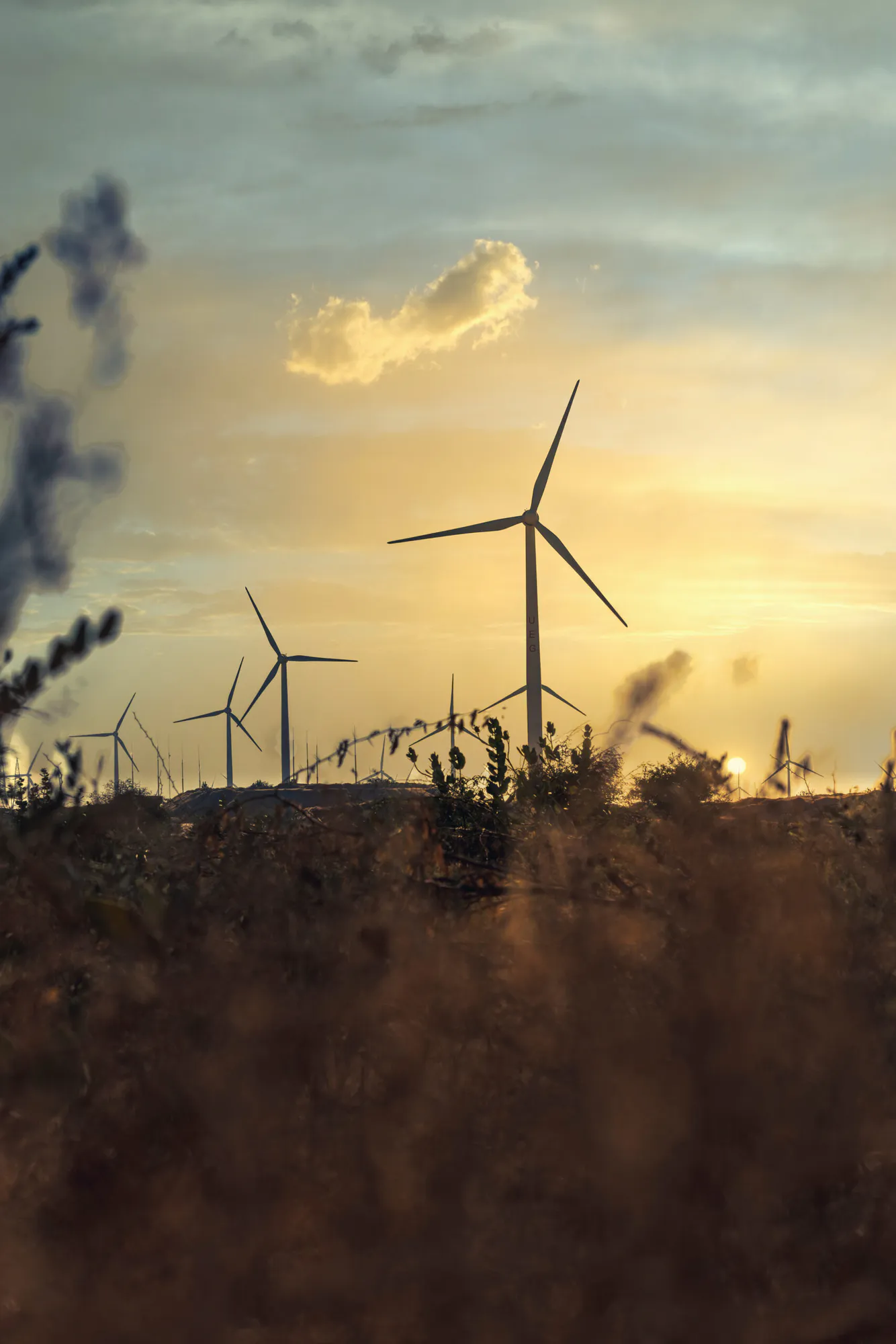49.5 MW Wind Power Project