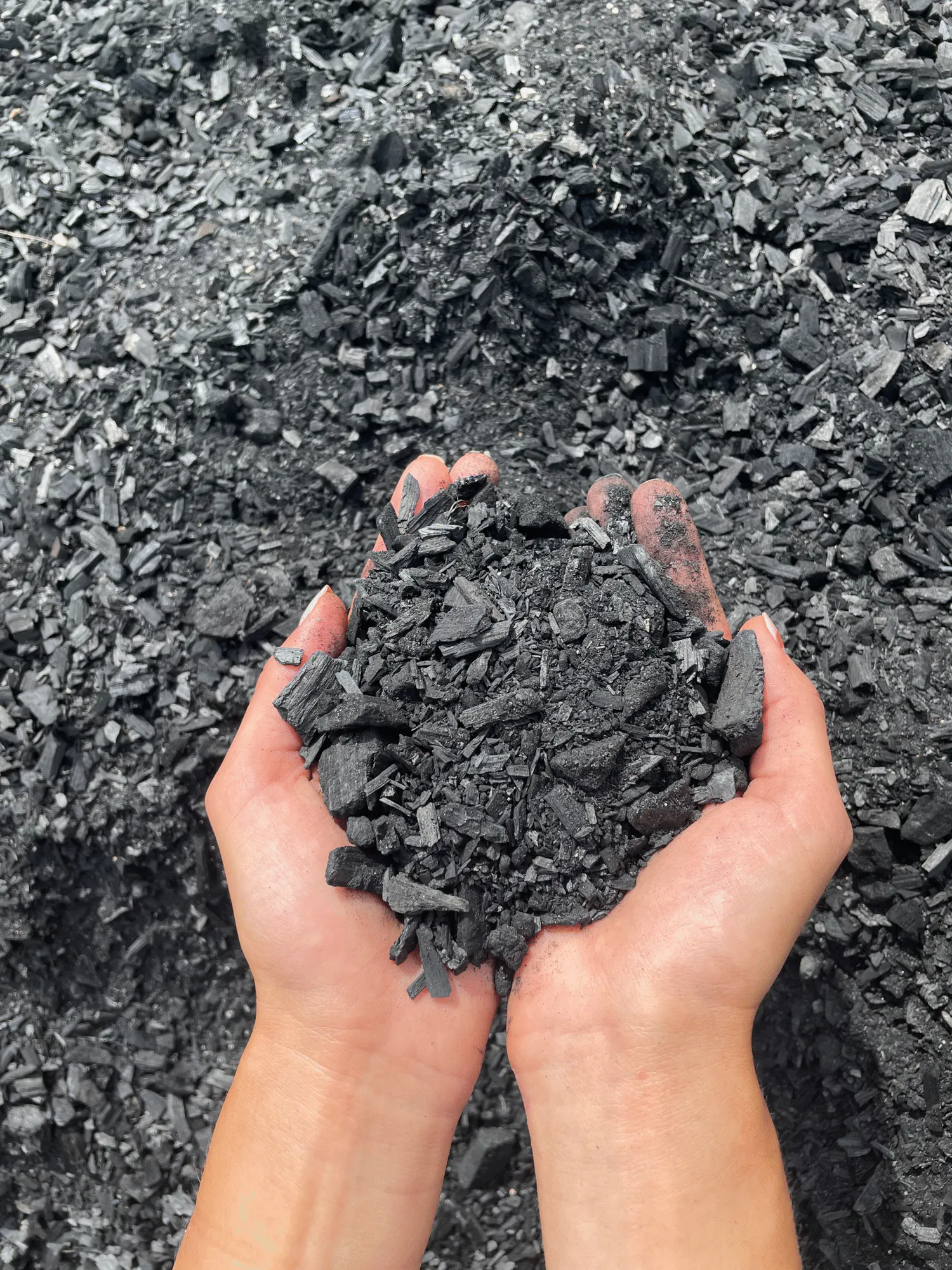 Lacanau Biochar Removal Project