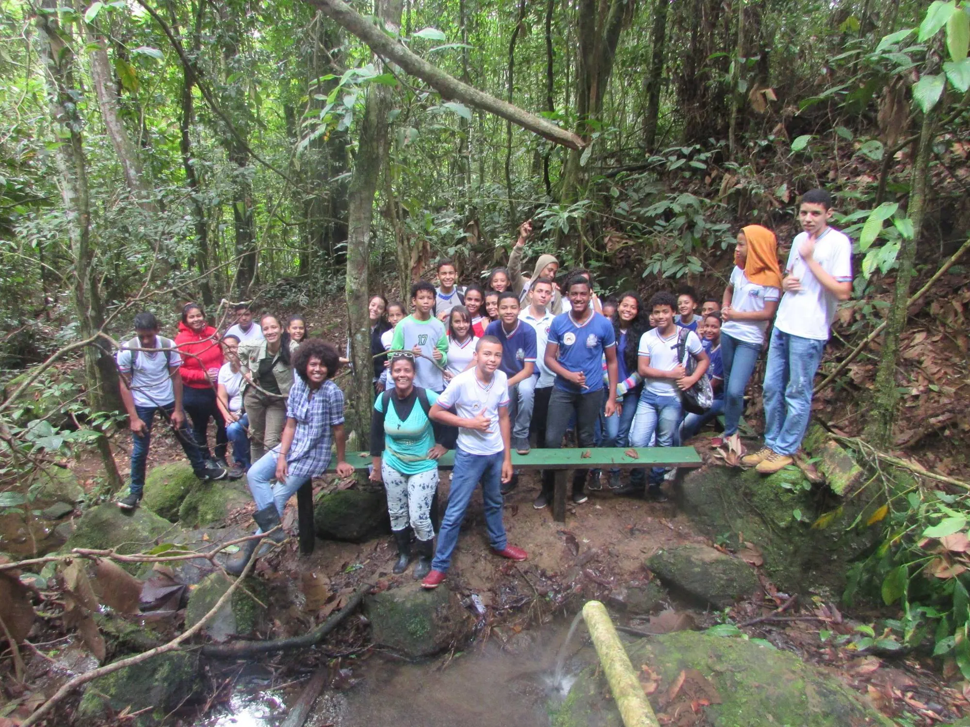 Protect biodiverse Atlantic Forest in Brazil’s Serra Bonita Mountain Range
