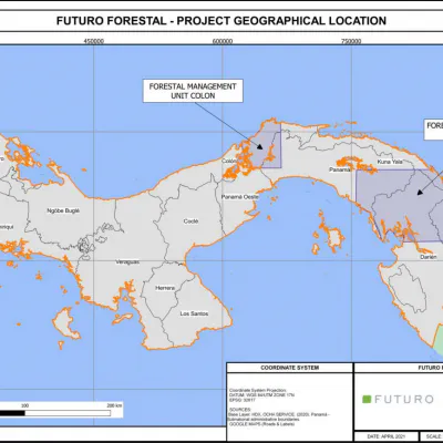 Generation Forest Group Project