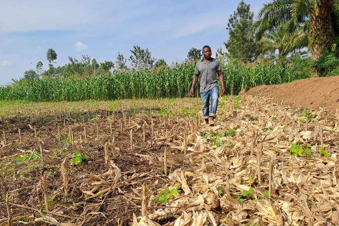 Cultivating Carbon: Regenerating East Africa’s Soils