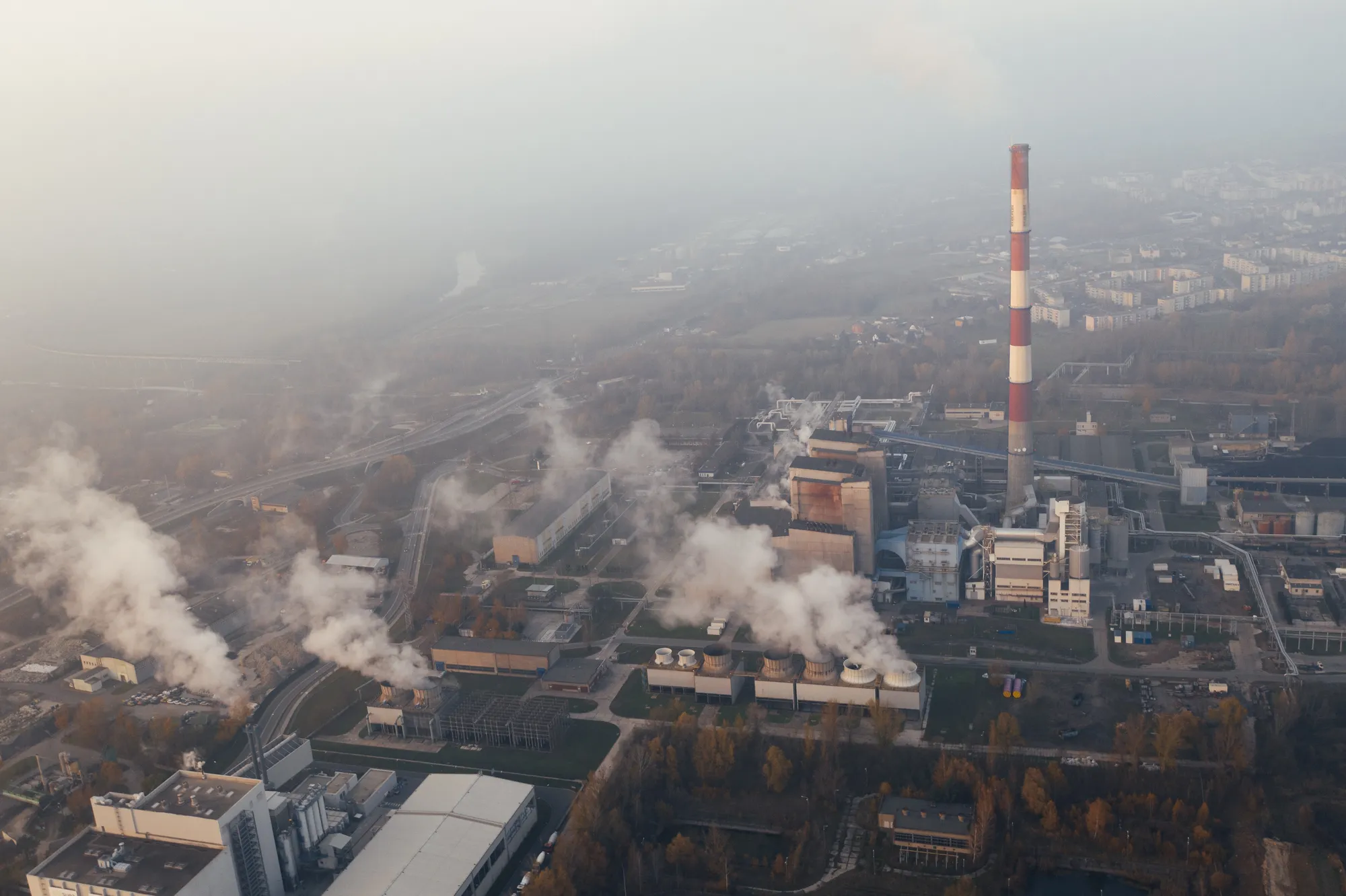 What Are Carbon Offsets? Everything You Need To Know