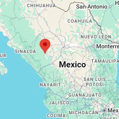 Ejido El Alamito Reforestation Project