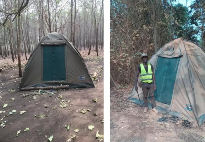 Reforestation of Degraded Forest Reserve Areas in Ghana, West Africa