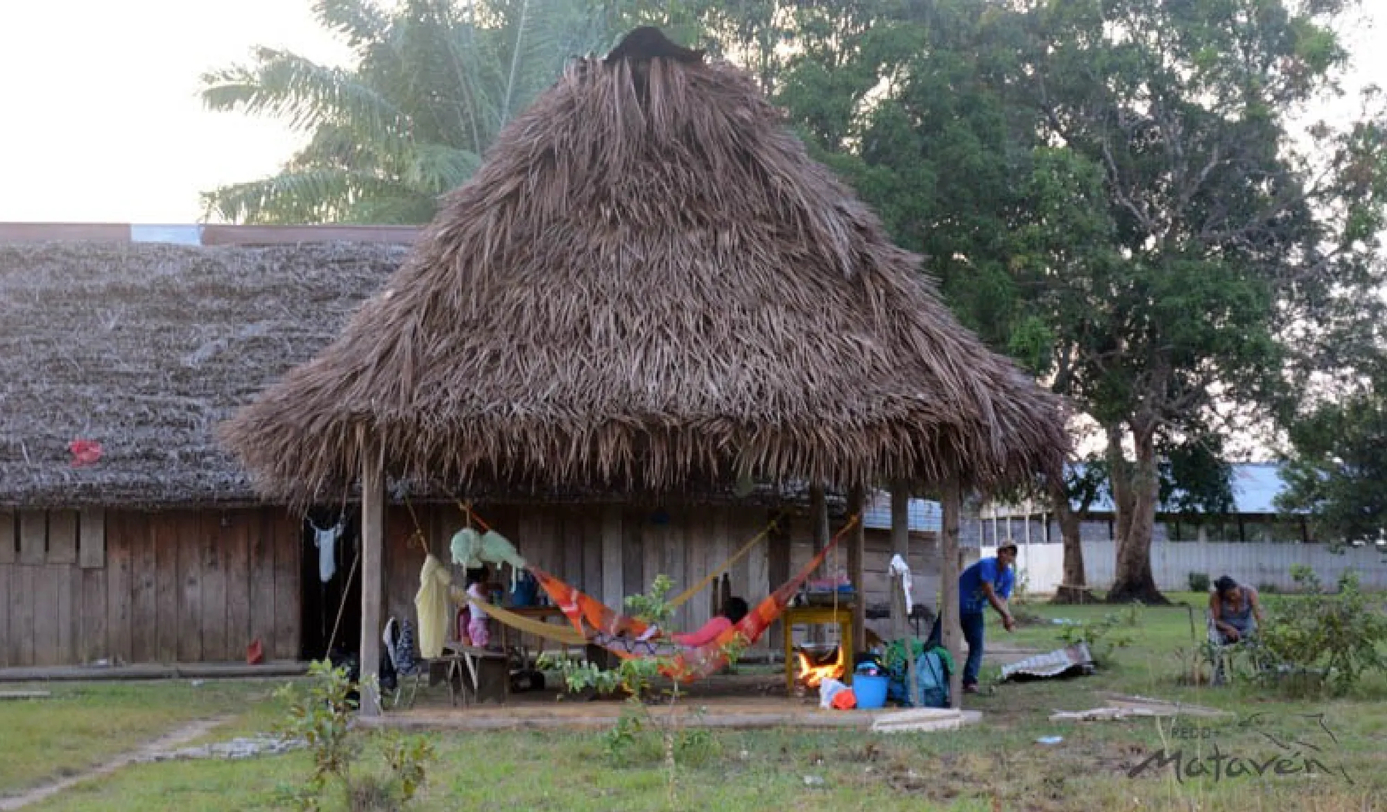 Mataven Jungle Indigenous Guardianship Project