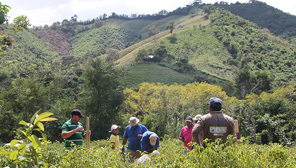 Expanding the Los Tities de San Juan Reserve