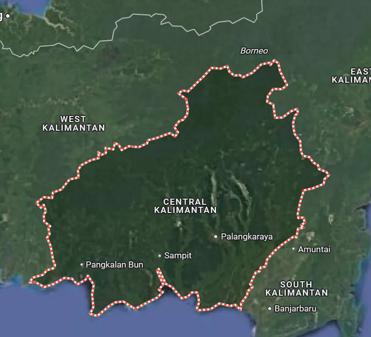 Rimba Raya Biodiversity and Wetland Restoration