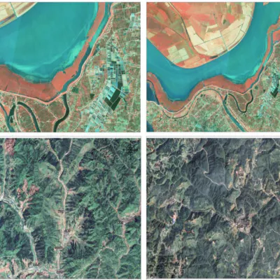 Carbon Removals Project Reforesting Barren Lands