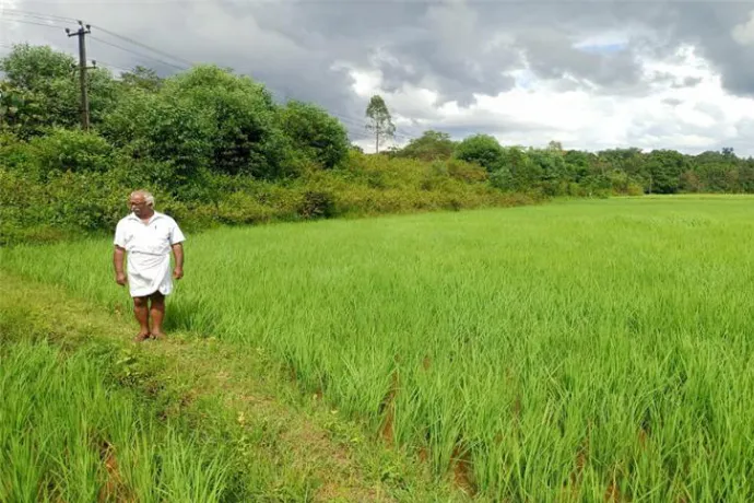 Cultivating Resilience: Regenerative Farming Across Indian Heartlands