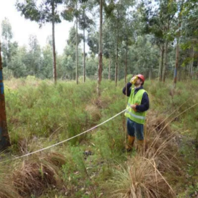 Reforestation of Degraded Grasslands in Uruguay
