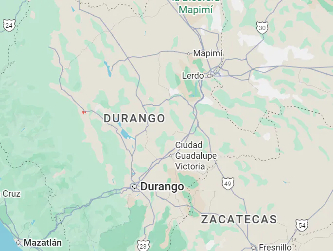 Ejido El Alamito Reforestation Project