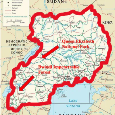 Time Tested Forestation in Uganda