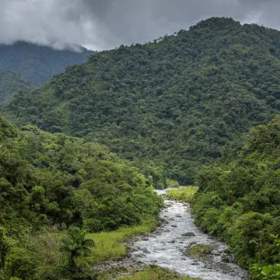 Protecting the Toldopampa Cloud Forest