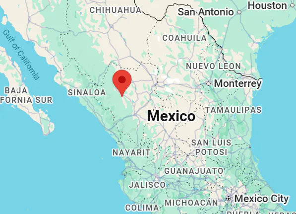 Ejido El Alamito Reforestation Project