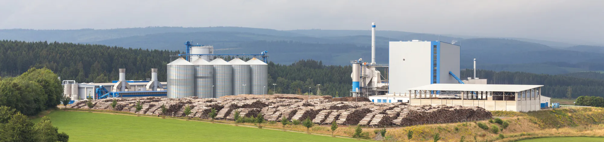 Rieden Biochar for Carbon Removal and Soil Regeneration