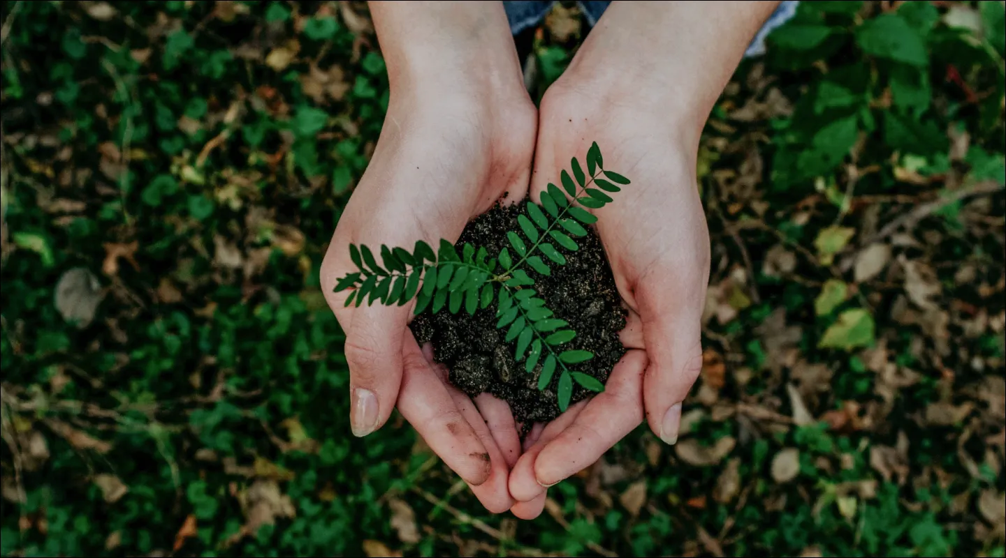 The Difficulty Businesses are Facing in the Race to Net Zero