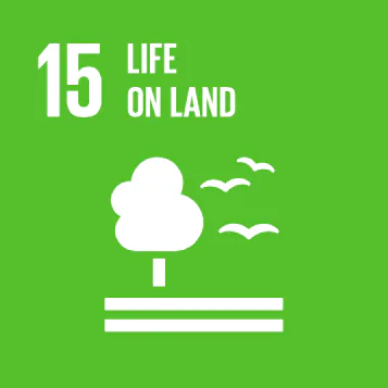 Saving Indigenous lands in the Amazon