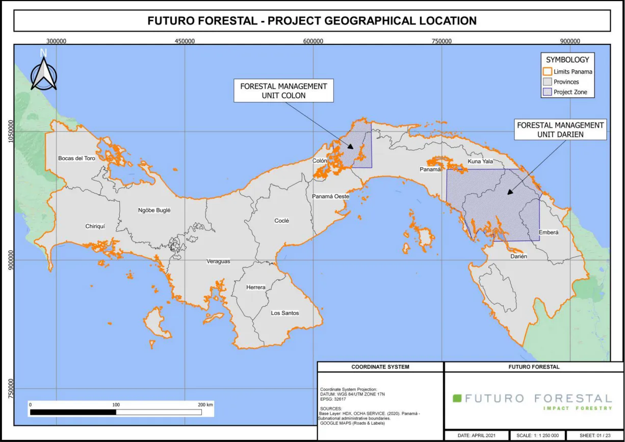 Generation Forest Group Project