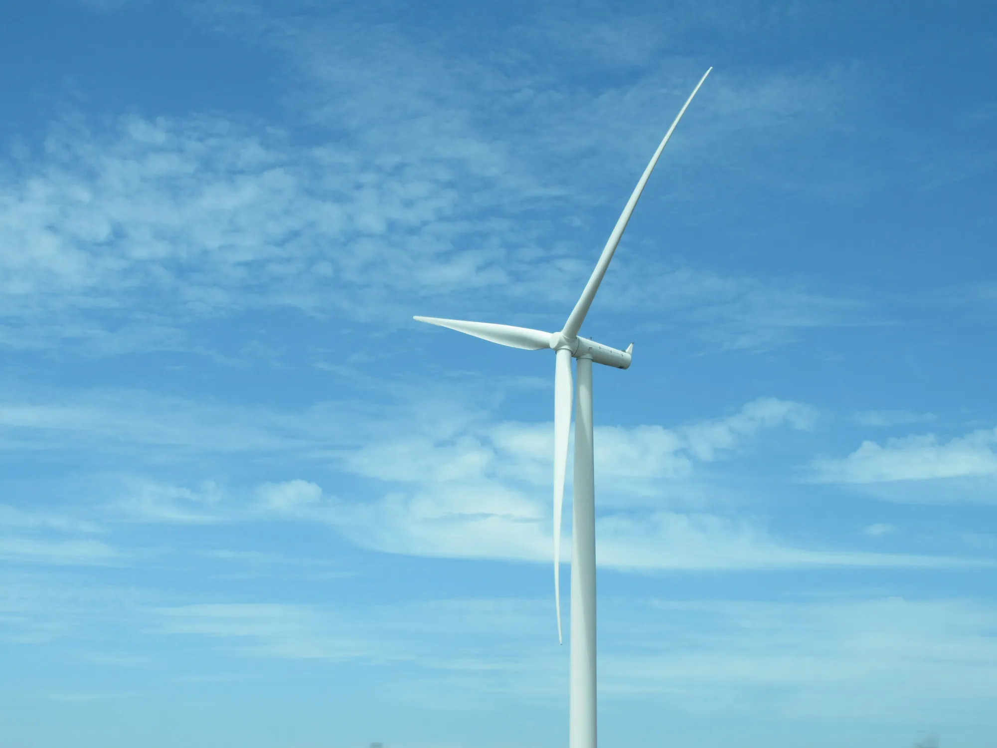 Tropical Wind Renewable Energy