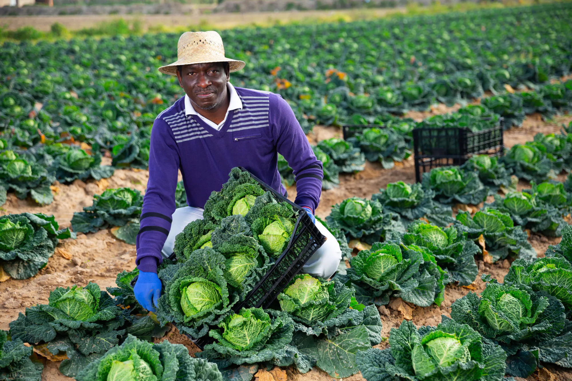 Cultivating Carbon: Regenerating East Africa’s Soils